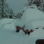 December 2008 (1)