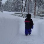 December 2008 (11)
