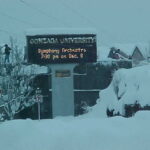 December 2008 (5)
