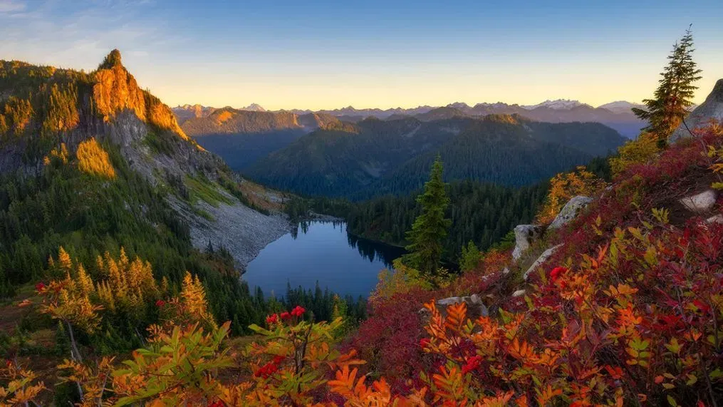 Fall