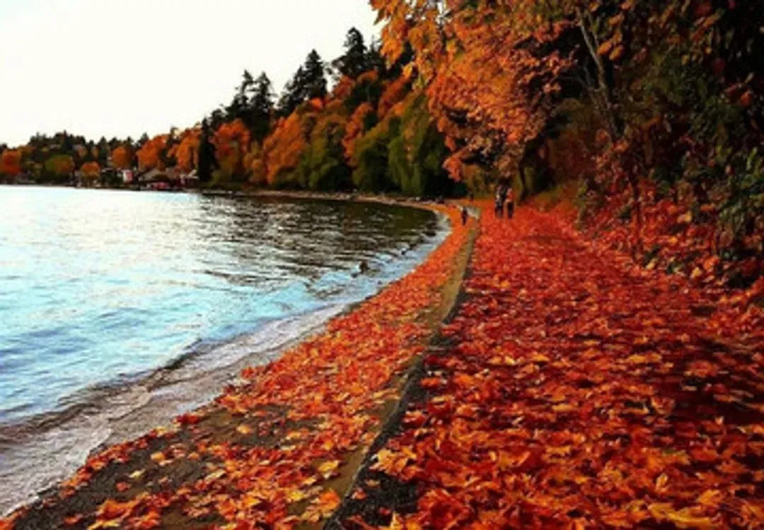 Fall2