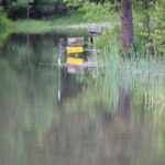 Flooding (1)