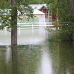 Flooding (11)