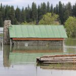 Flooding (3)