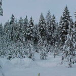 Winter 2007 (2)
