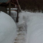 Winter 2007 (3)