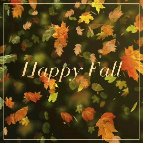 Fall